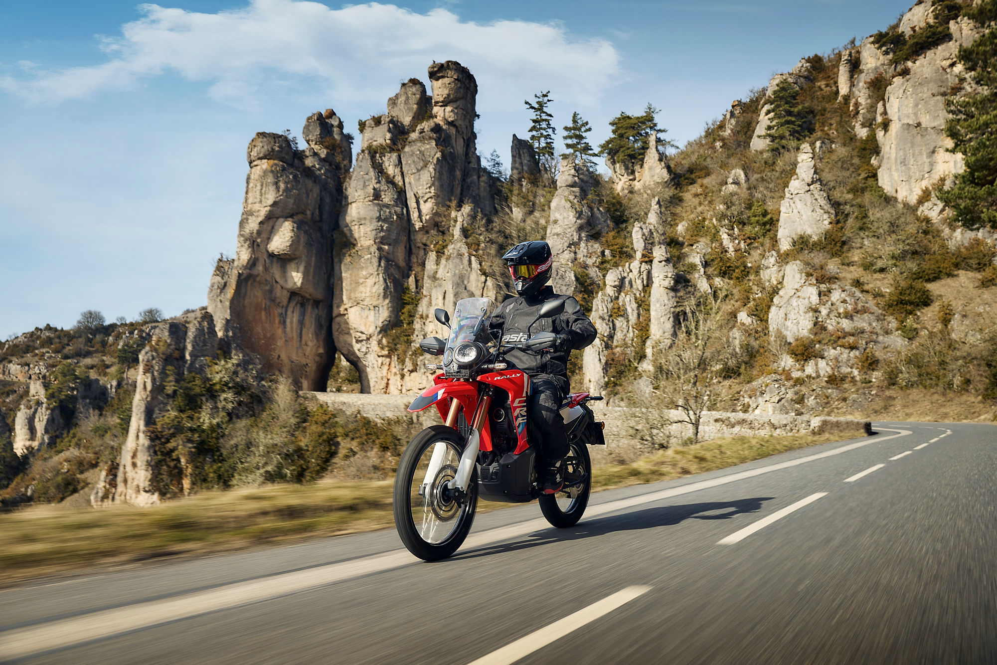 Honda CRF 300 RALLY