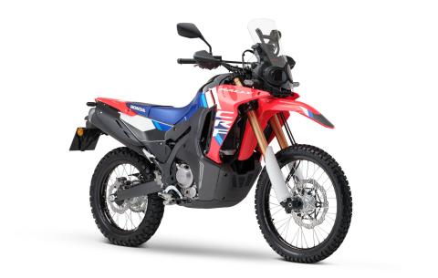 CRF 300 RALLY